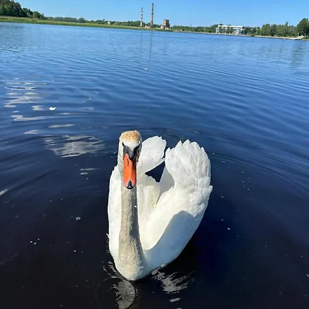 Mezmalas